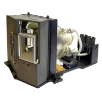 ACER EC.J2901.001 Lâmpada com módulo