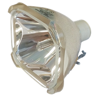 INFOCUS SP-LAMP-031 Lâmpada sem módulo