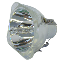 INFOCUS SP-LAMP-033 Lâmpada sem módulo