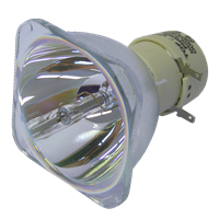 INFOCUS SP-LAMP-039 Lâmpada sem módulo