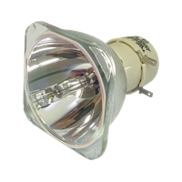 INFOCUS SP-LAMP-093 Lâmpada sem módulo