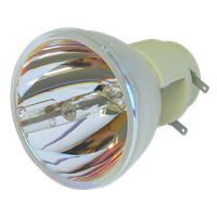 VIVITEK DW350 Lâmpada sem módulo